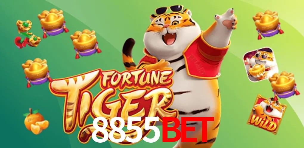 Sports Statistics 8855Bet